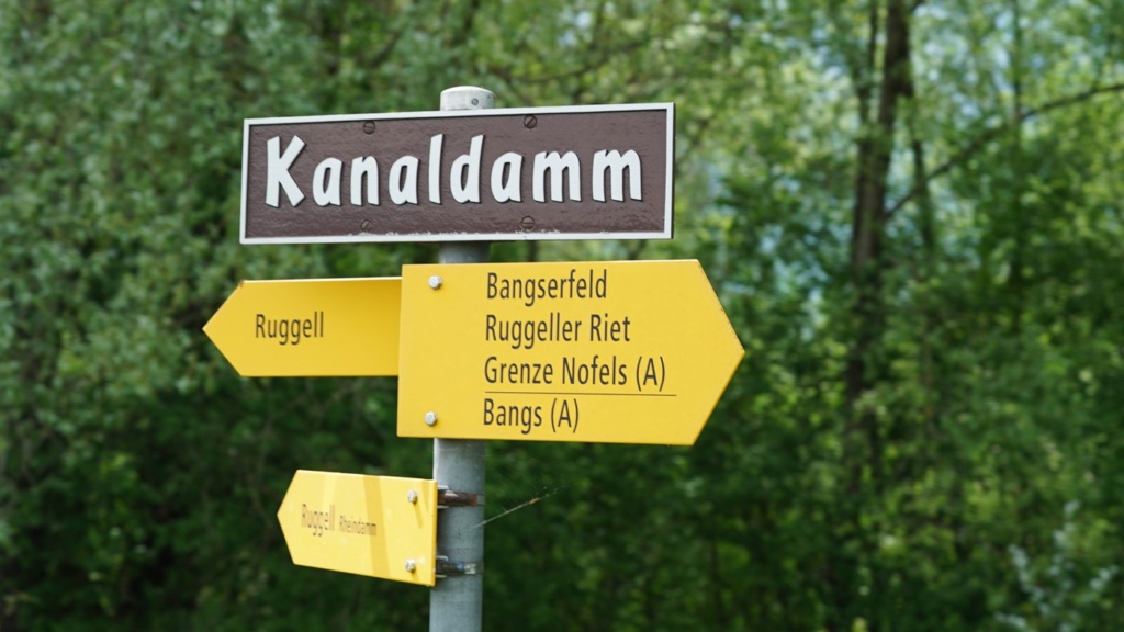 Ruggeller Riet 00147