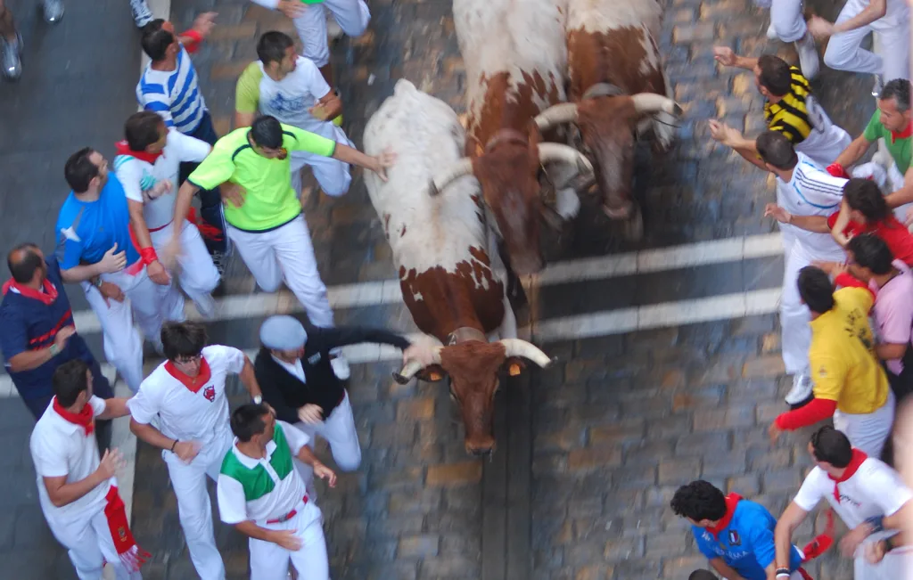 Stierhatz in Pamplona