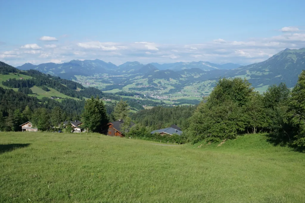 Bergwald in Vorarlberg