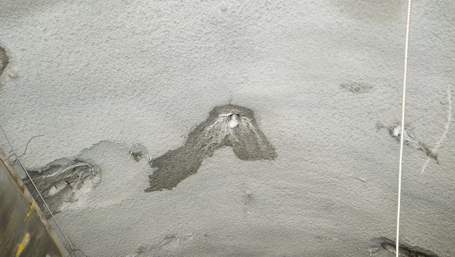 Tunnelspinne-Feldkirch