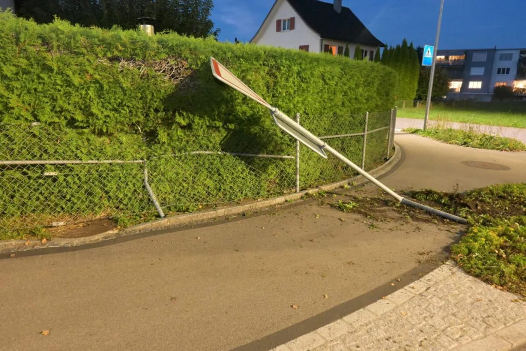 Verkehrsunfall in Ruggell | Bildquelle: Landespolizei