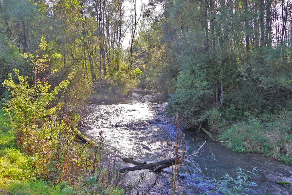 Binnenkanalmündung in den Rhein