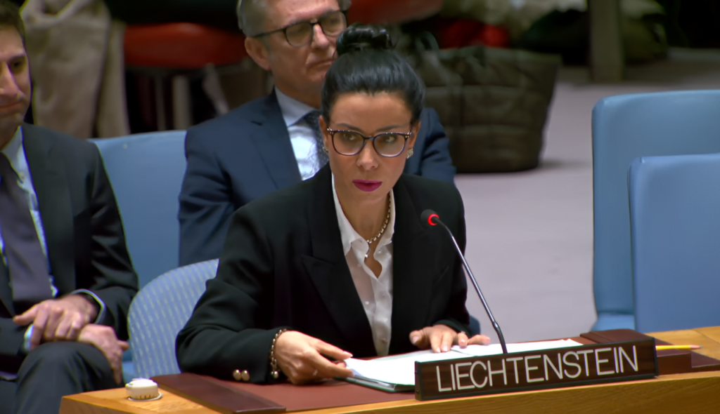 Dominique Hasler im Sicherheitsrat