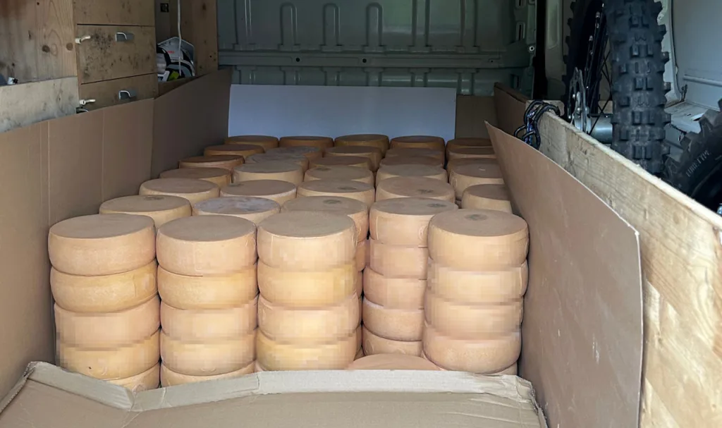 Sichergestellte Käselaibe