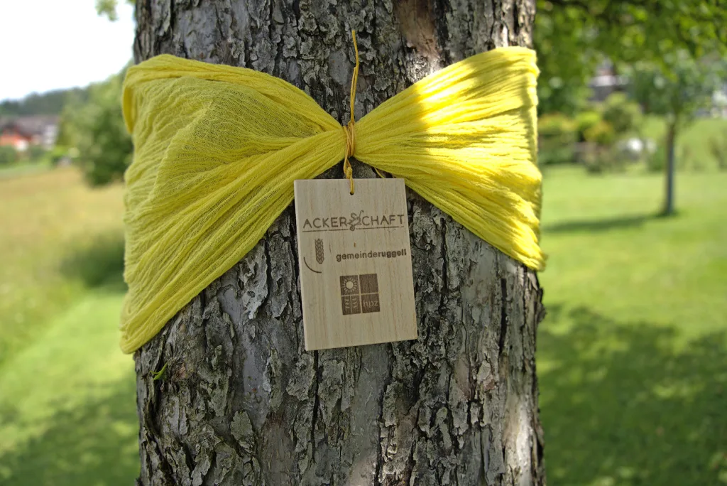 Das Gelbe Band am Baum