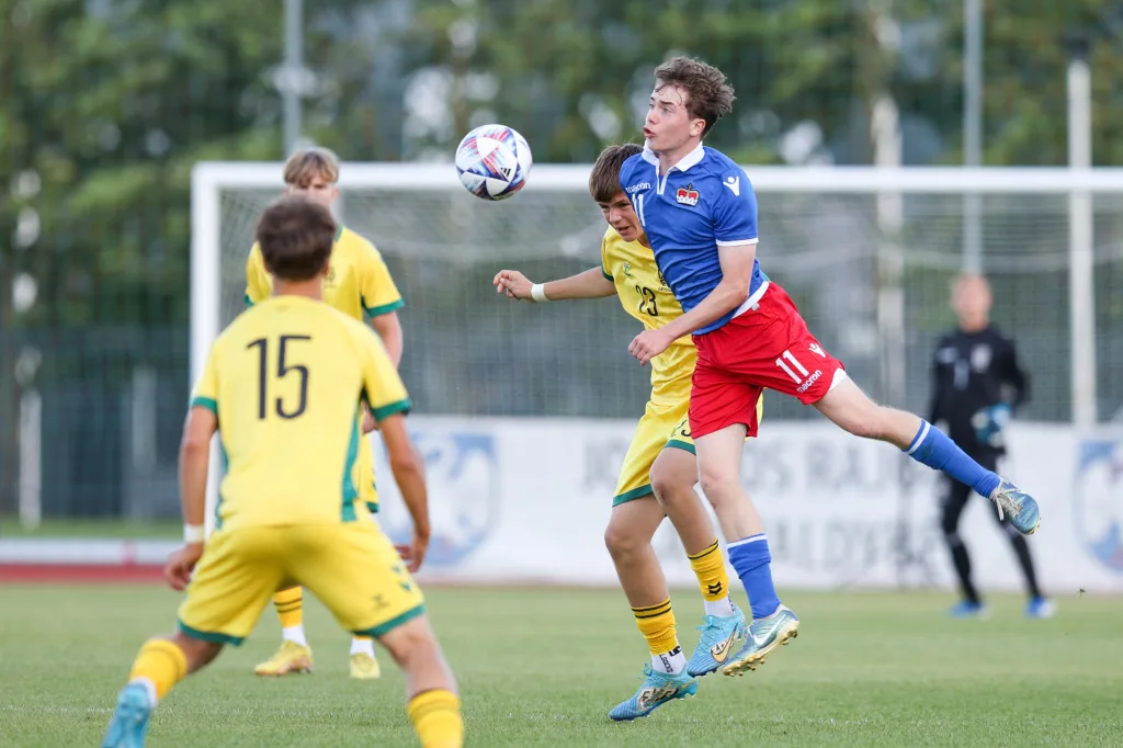 Liechtenstein - Litauen