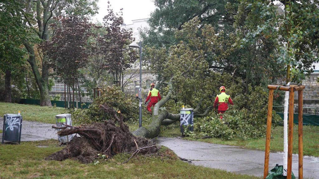 Hochwassersituation in Wien