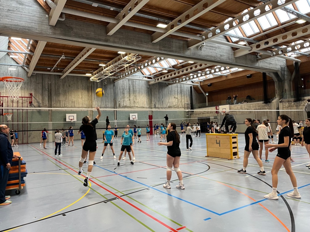 Schulsportmeisterschaften im Volleyball