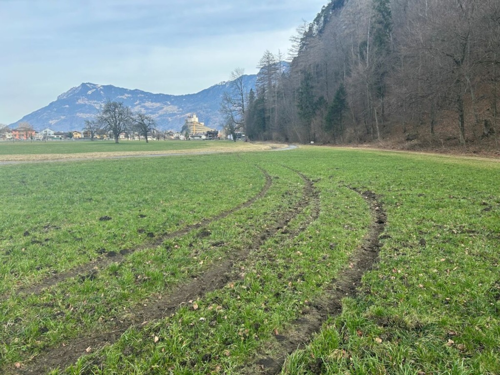 20250224_Flurschaeden_Balzers