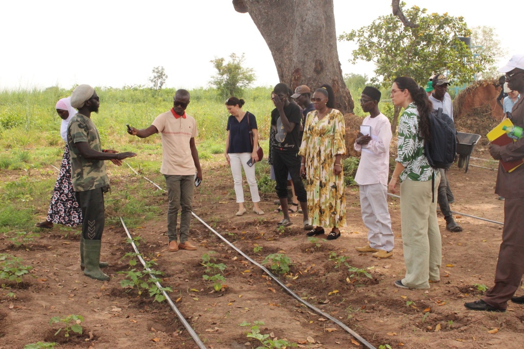 Die LED-Delegation besuchte auch eine Landwirtschaftsschule (SIFA) in Casamance, ein gemeinsames Projekt mit dem Partner Swisscontact. Hier werden Jugendliche in agrarökologischen Praktiken ausgebildet. Im Bild erklärt ein Student, was er über Landwirtschaft gelernt hat