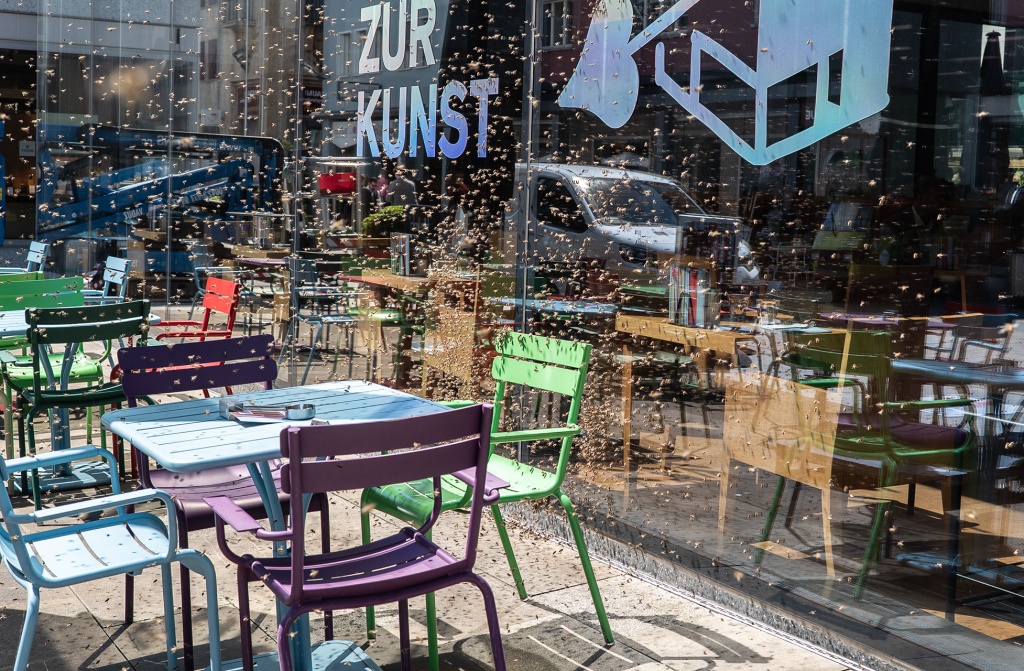 Bienenschwarm in Vaduz