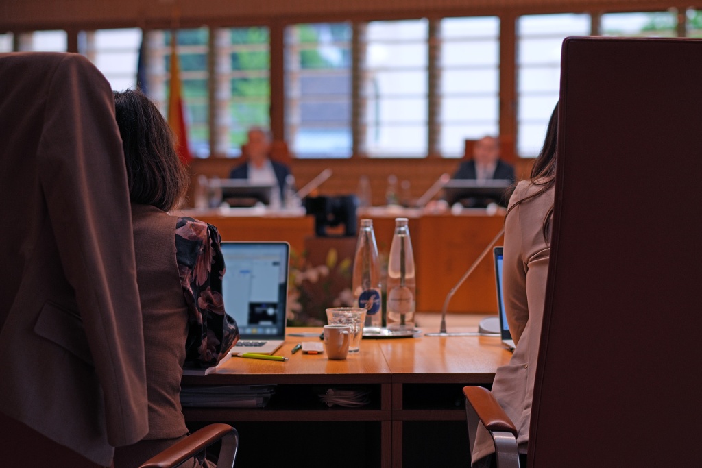 Freie Liste im Landtag