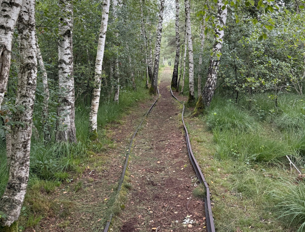 Wanderweg mit den alten Schienen