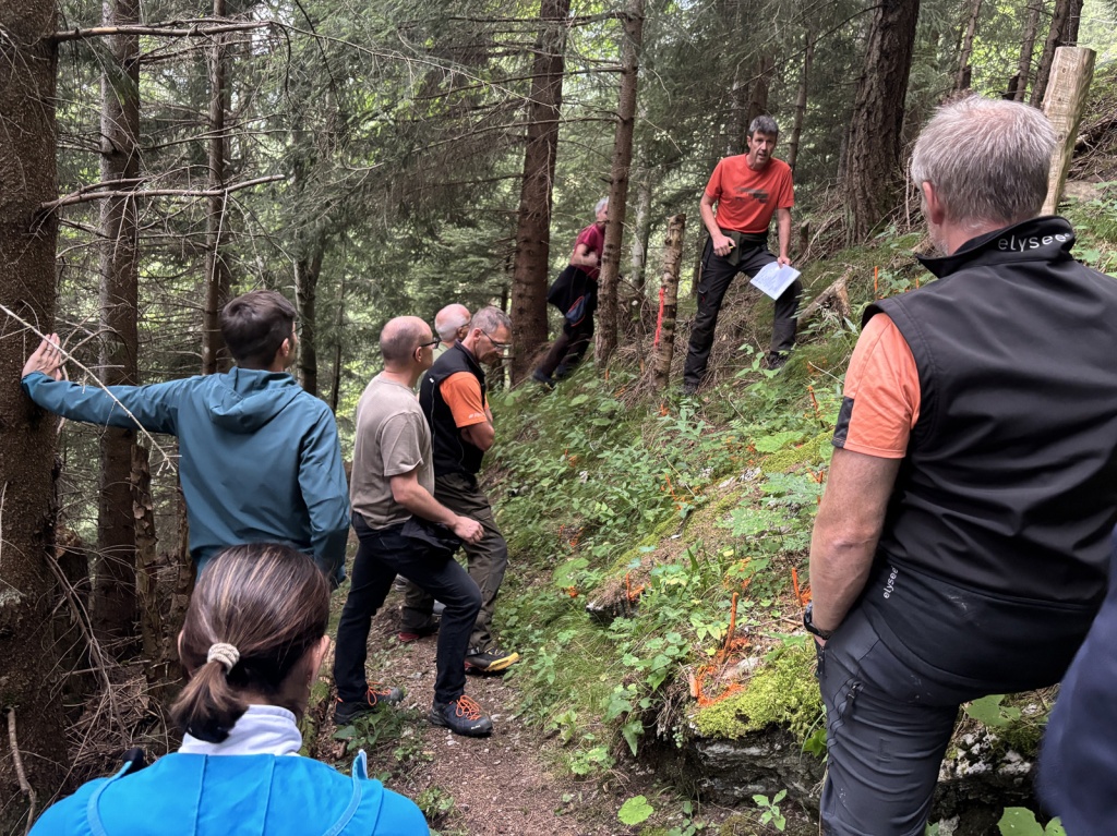 Waldbegehung Triesenberg