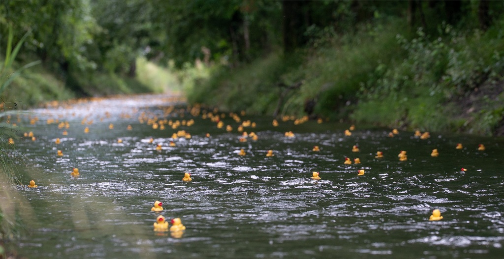 Entenrennen in Vaduz