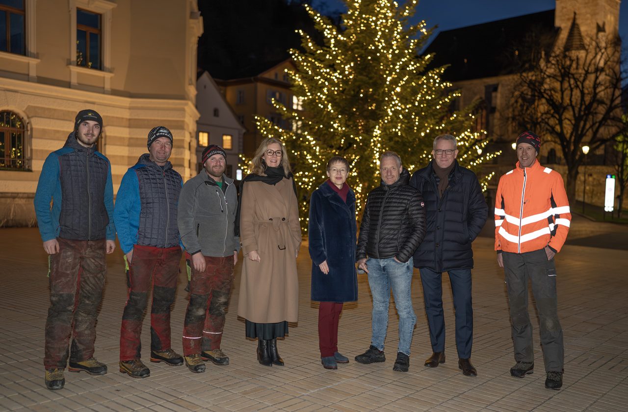 Weihnachtsbaum der Regierung