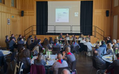 Bewegtes Pfadi-Jahr 2025