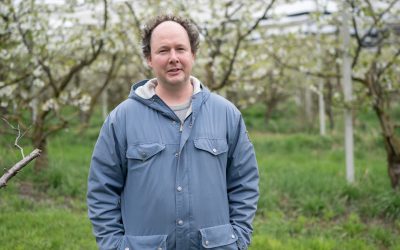 Blütenfest auf dem Weidriethof