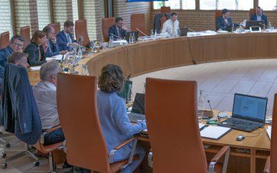 Landtag erhöht staatliche Parteienbeiträge – DpL stimmt geschlossen dagegen