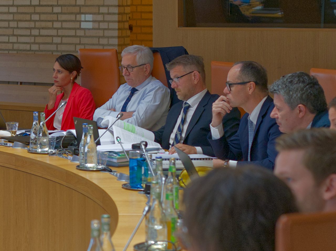 DpL-Fraktion im Landtag