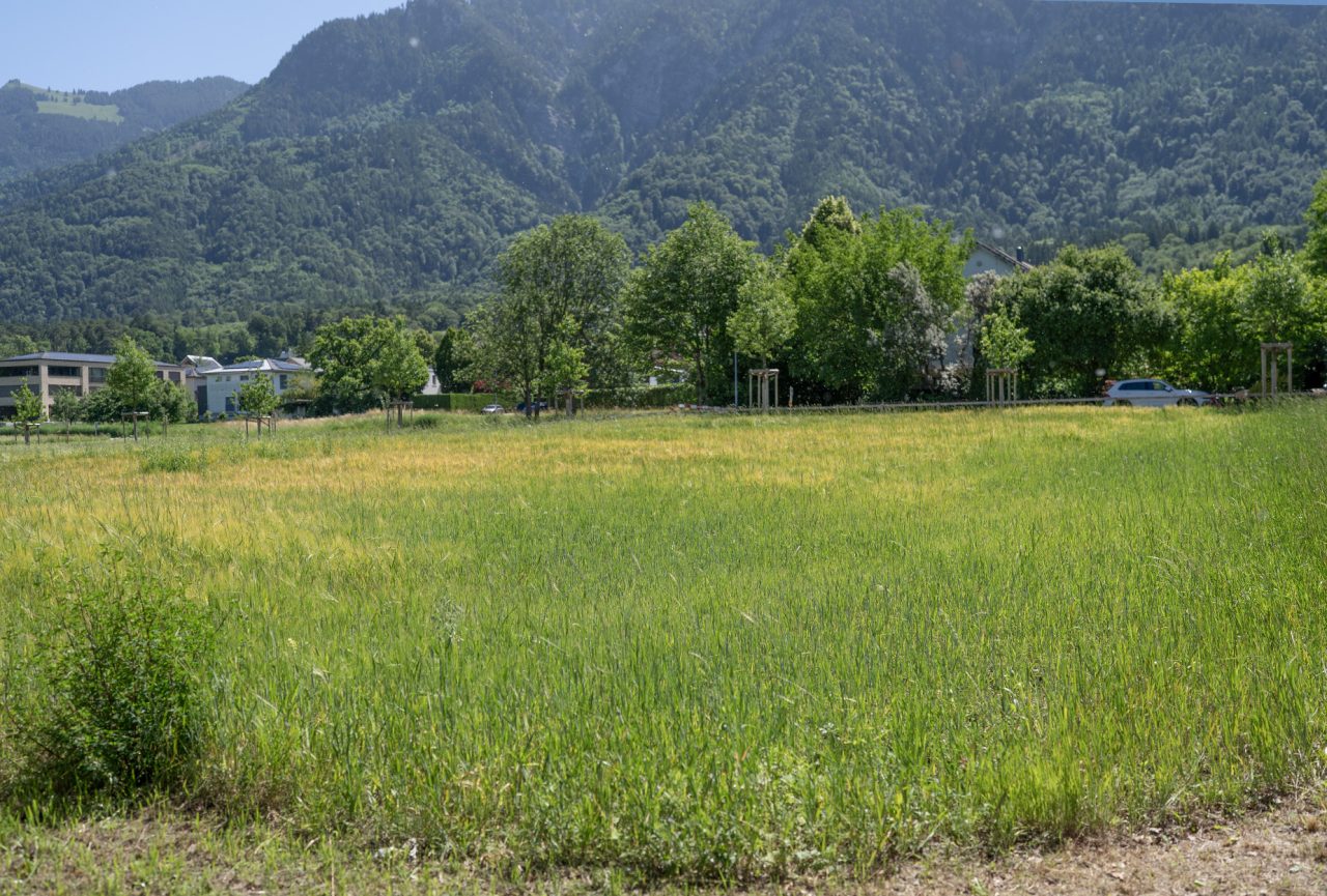 Park im Äscherle