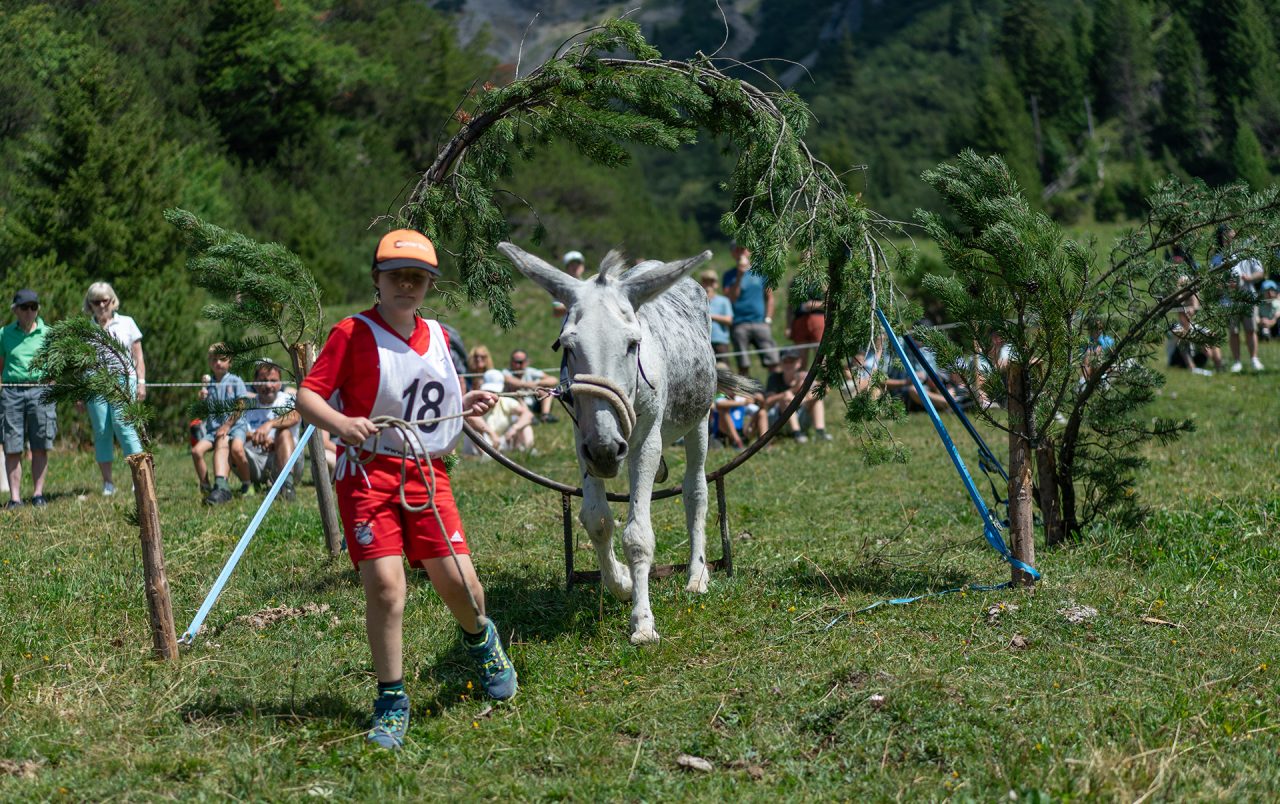 Eselfest in Malbun