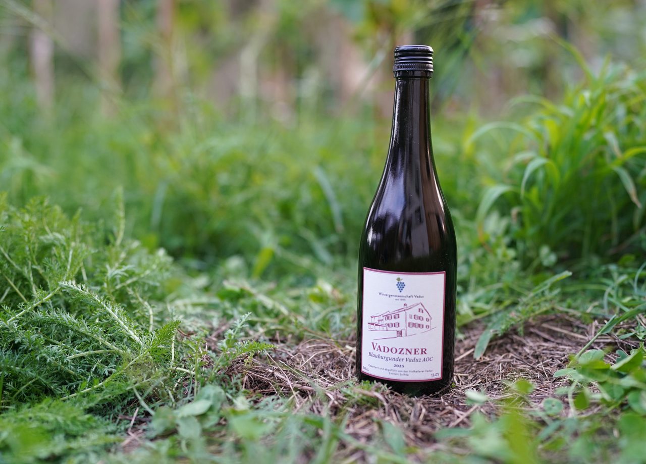 Neues Etikett für Vadozner Wein