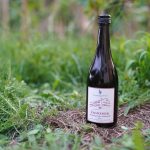 Ein halbes Jahrtausend Weinbau auf dem Etikett