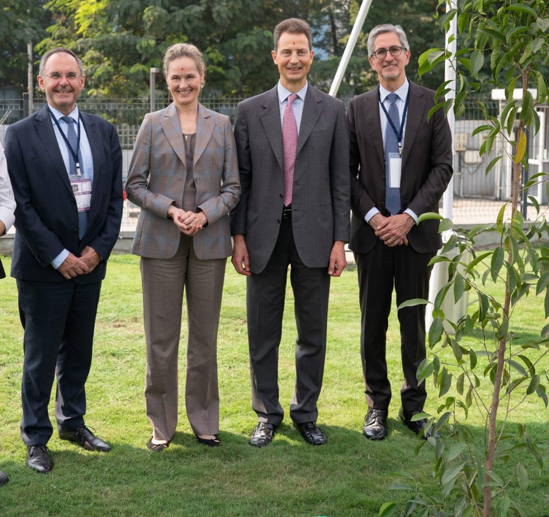 Baum bei Hilti gepflanzt