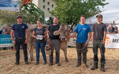Bonita ist erneut die schönste Kuh im Oberland