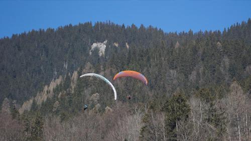 Fasnachtsumzug Triesenberg