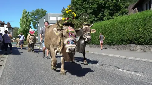 Alpabfahrt Vaduz