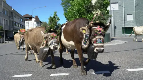 Alpabfahrt Vaduz